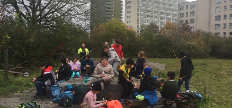 HECKENEINSATZ MIT PRIMARSCHULE STERNENFELD 2020