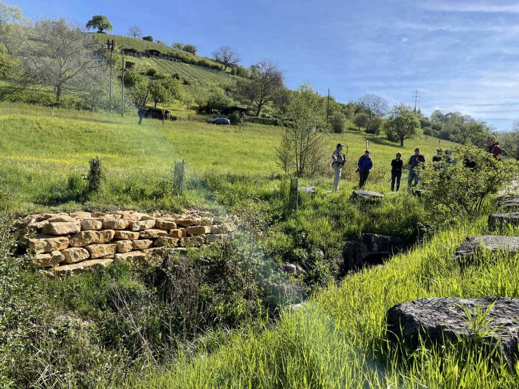 Exkursion: Rebberg Zinggibrunn, 8. Mai 2021 (© NVVB)