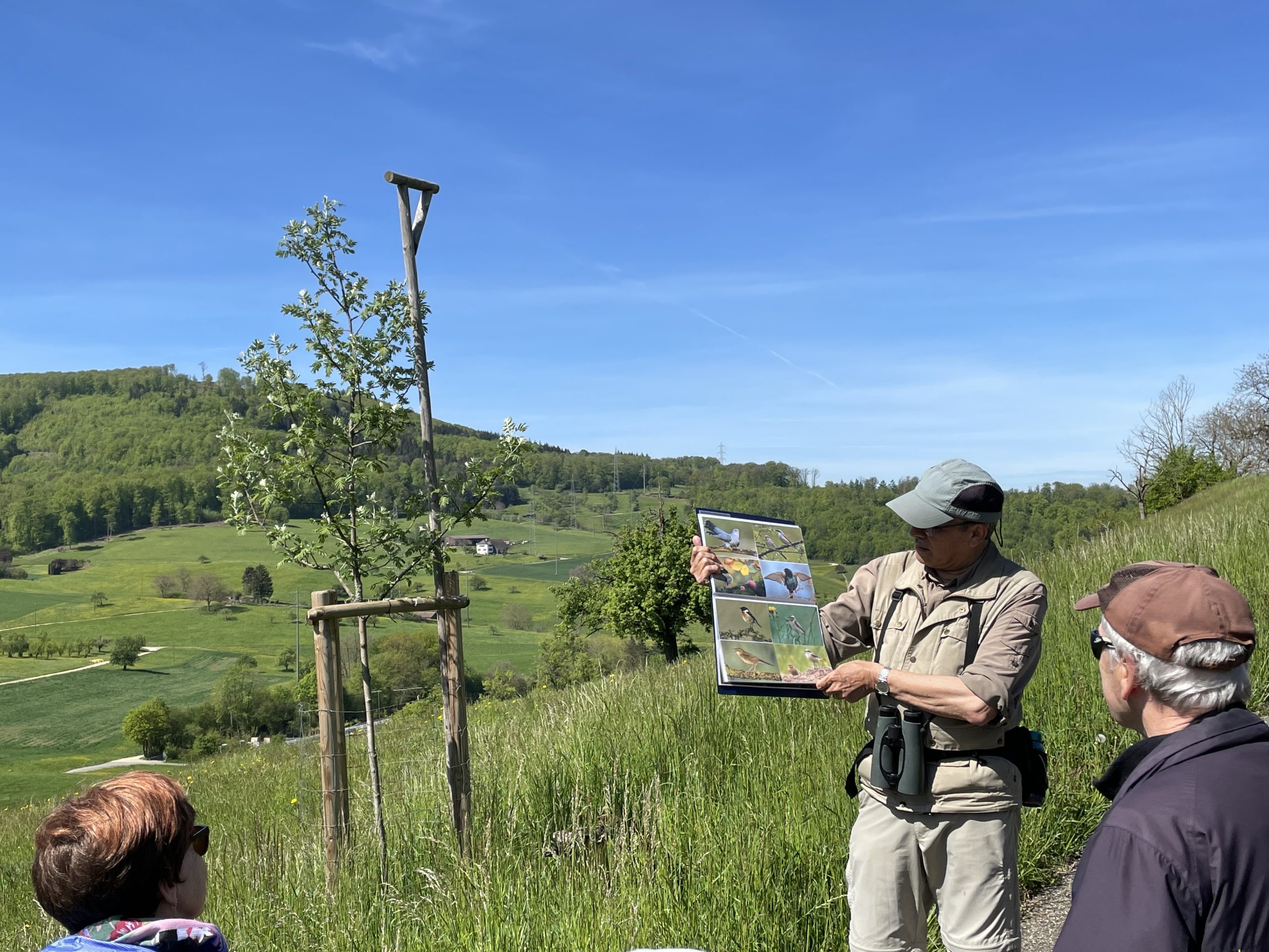 Exkursion: Rebberg Zinggibrunn, 8. Mai 2021 (© NVVB)