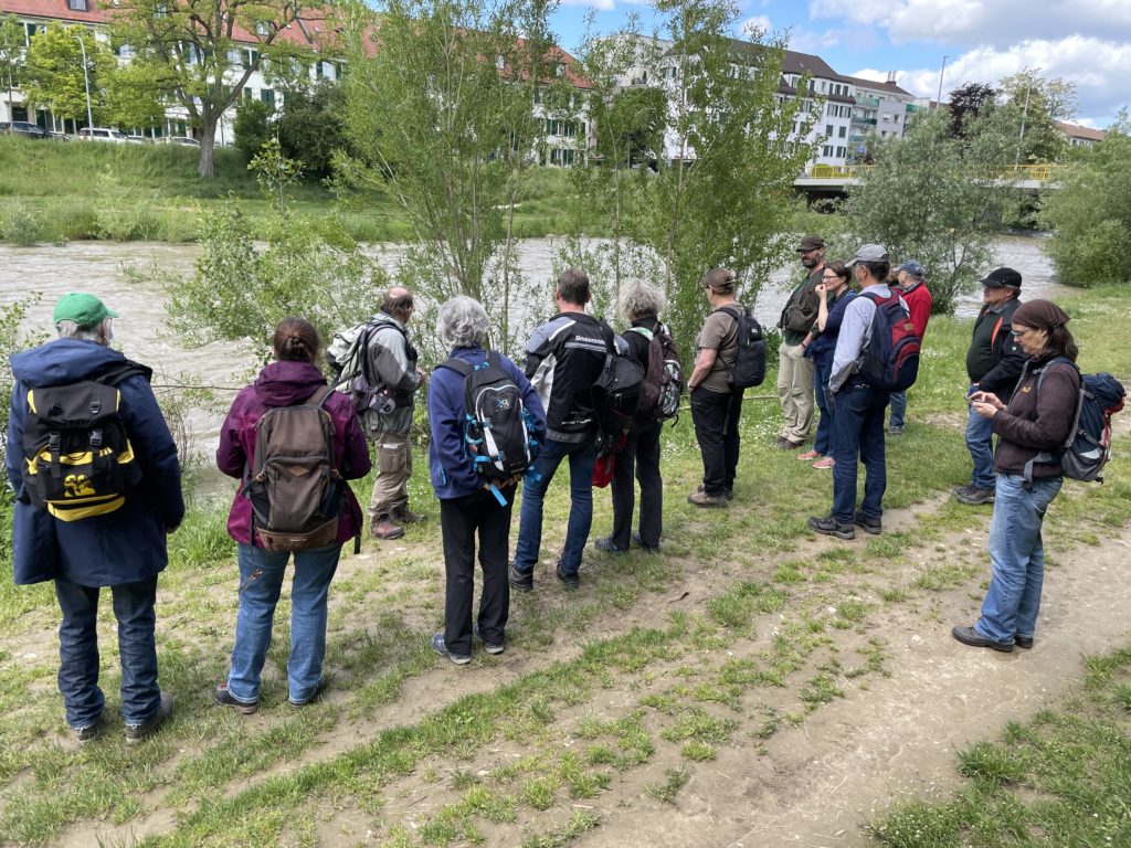 Exkursion Birsfelden - Rüttihard - Muttenz, 22. Mai 2021 (© NVVB)