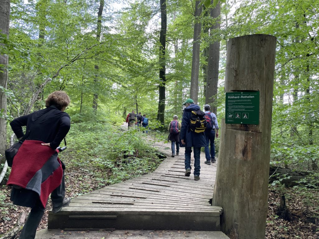 NSG Rothallen - Exkursion Birsfelden - Rüttihard - Muttenz, 22. Mai 2021 (© NVVB)