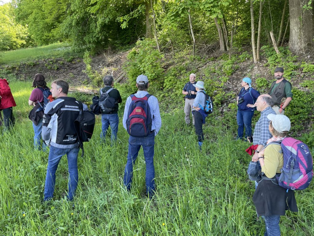 Eselhallen - Exkursion Birsfelden - Rüttihard - Muttenz, 22. Mai 2021 (© NVVB)