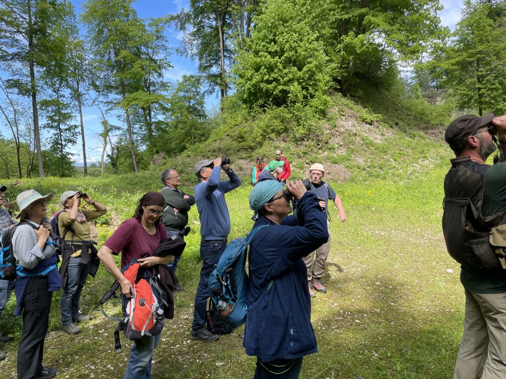 Steinbruch Chlosterchöpfli - Exkursion Birsfelden - Rüttihard - Muttenz, 22. Mai 2021 (© NVVB)