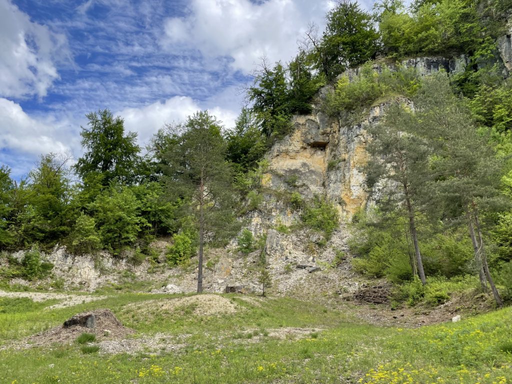 Steinbruch Chlosterchöpfli - Exkursion Birsfelden - Rüttihard - Muttenz, 22. Mai 2021 (© NVVB)