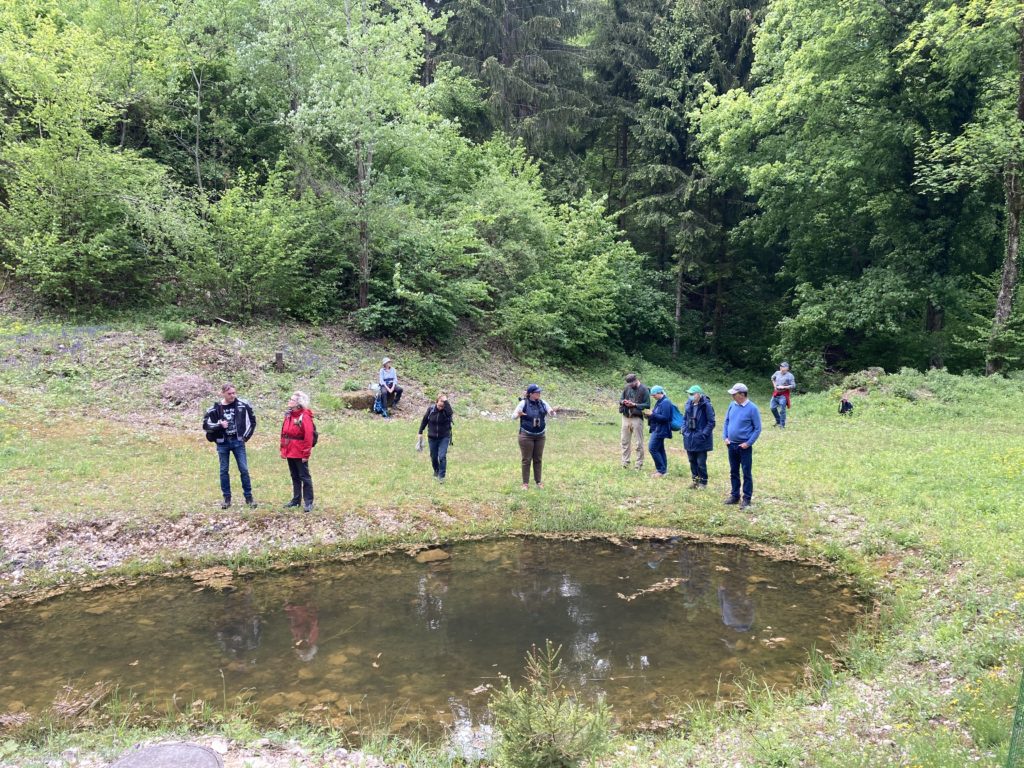 Steinbruch Chlosterchöpfli - Exkursion Birsfelden - Rüttihard - Muttenz, 22. Mai 2021 (© Carmen Weber)