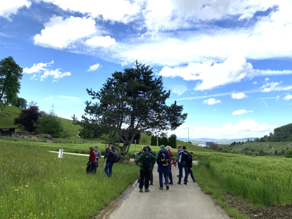 Exkursion Birsfelden - Rüttihard - Muttenz, 22. Mai 2021 (© Carmen Weber)