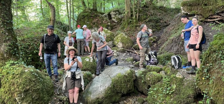 zNüni Chastelbach - Exkursion: Grellingen -Chastelbach - Latschgetweid - Chaltbrunnetal, 12.Juni 2021 (© NVVB)