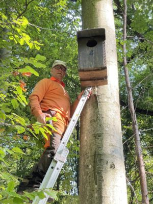 Dachreperatur Waldkauz-Nistkasten, 9.10.2021 (© NVVB)