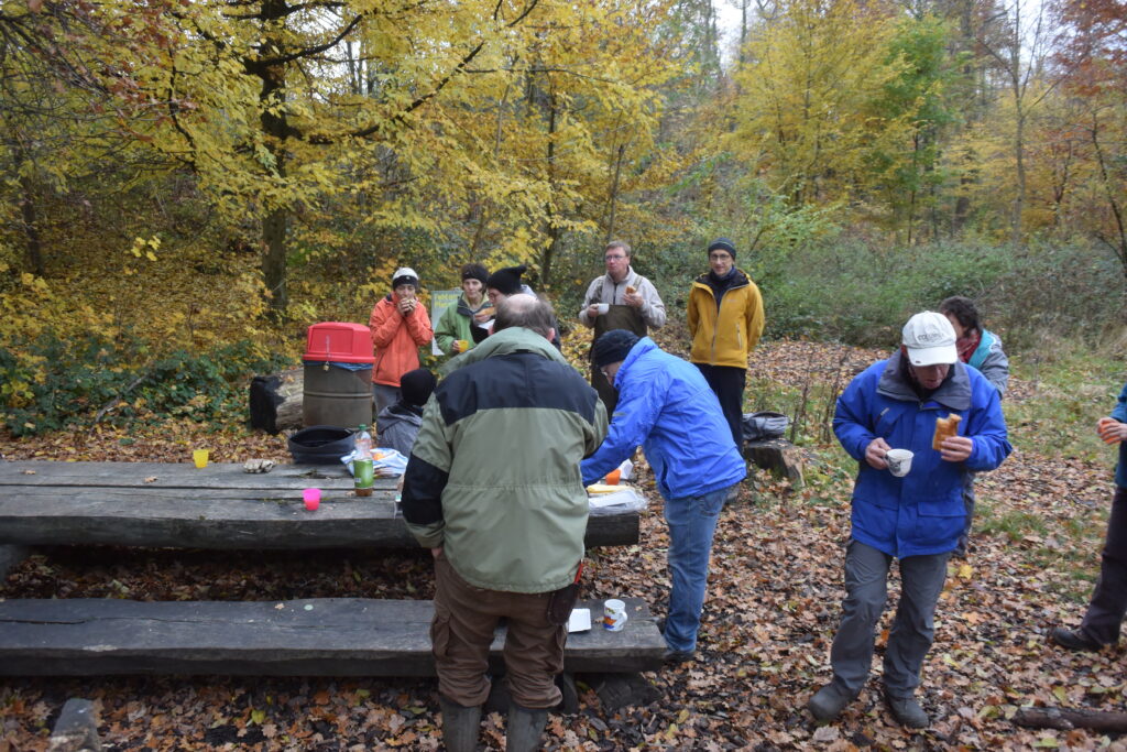 Pflegeeinsatz - Weiheranlage Hard, 13. November 2021 (© NVVB)