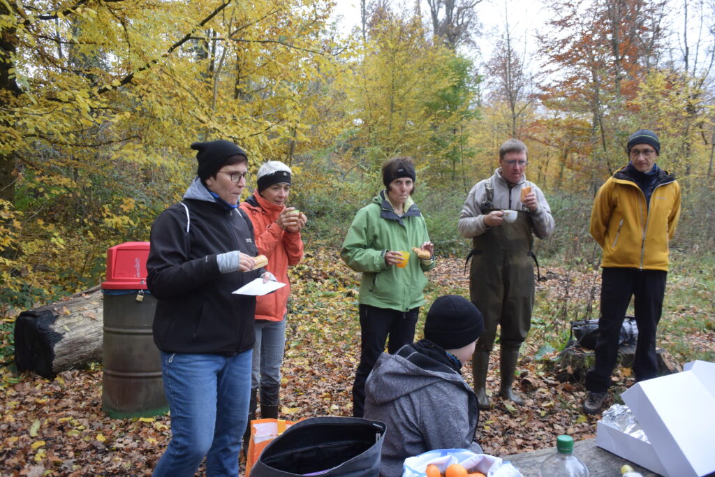 Pflegeeinsatz - Weiheranlage Hard, 13. November 2021 (© NVVB)