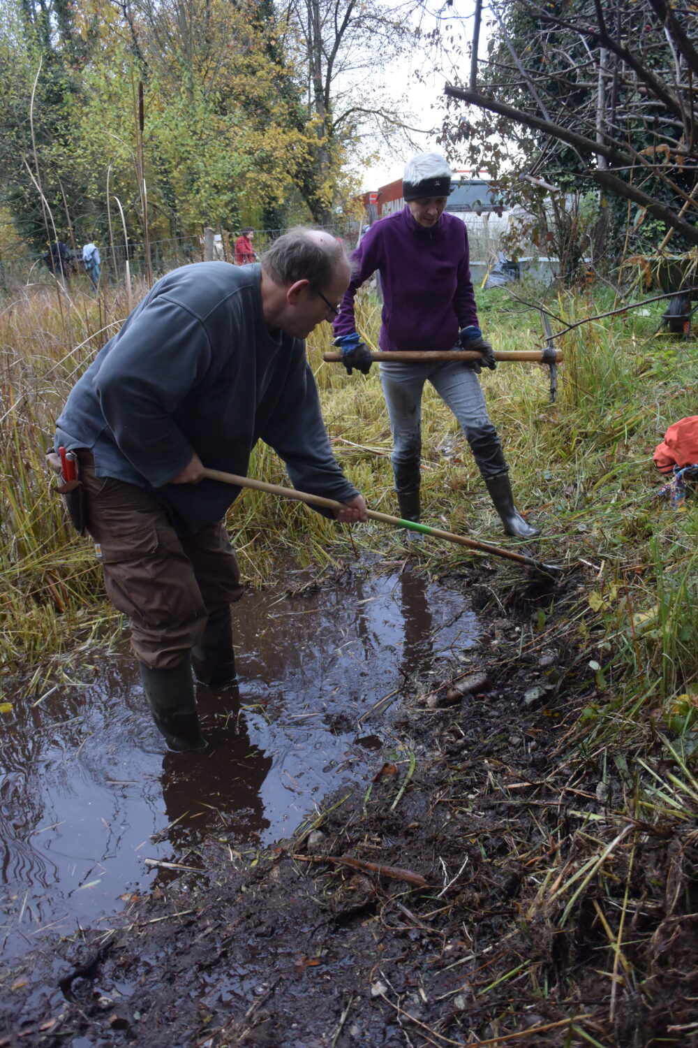 Pflegeeinsatz - Weiheranlage Hard, 13. November 2021 (© NVVB)