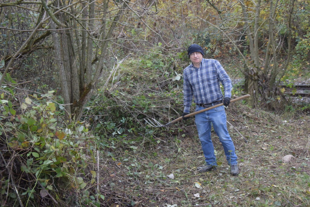 Pflegeeinsatz - Weiheranlage Hard, 13. November 2021 (© NVVB)