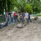 Blumenwiesen Ansaat, PUSCH Kurs - NVVB Gartenparzelle, 13. Mai 2022 © NVVBirsfelden