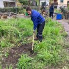 Zuviele Brennnesseln werden ausgepickelt - Naturgarten Birsköpfli, 15. April 2023 © NVVB