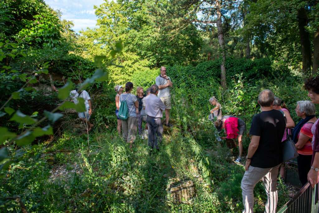 Natur neben den Gehegen - Zoo Basel, 14. Juli 2023 © Ricardo Olveira