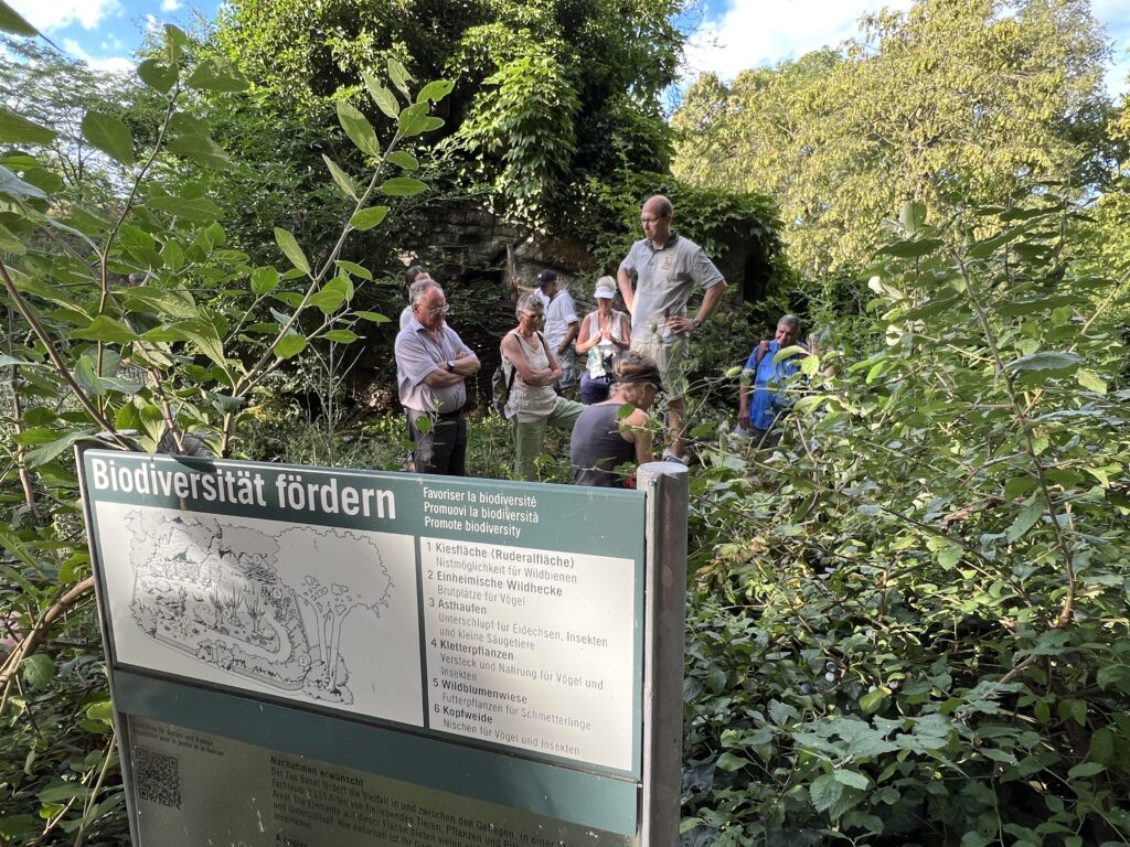 Natur neben den Gehegen - Zoo Basel, 14. Juli 2023 ©NVVB