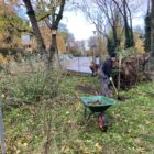 Der kleine Kiesweg entsteht, Pflegarbeiten - Naturgarten Birsköpfli, 25.November 2023 © NVVB