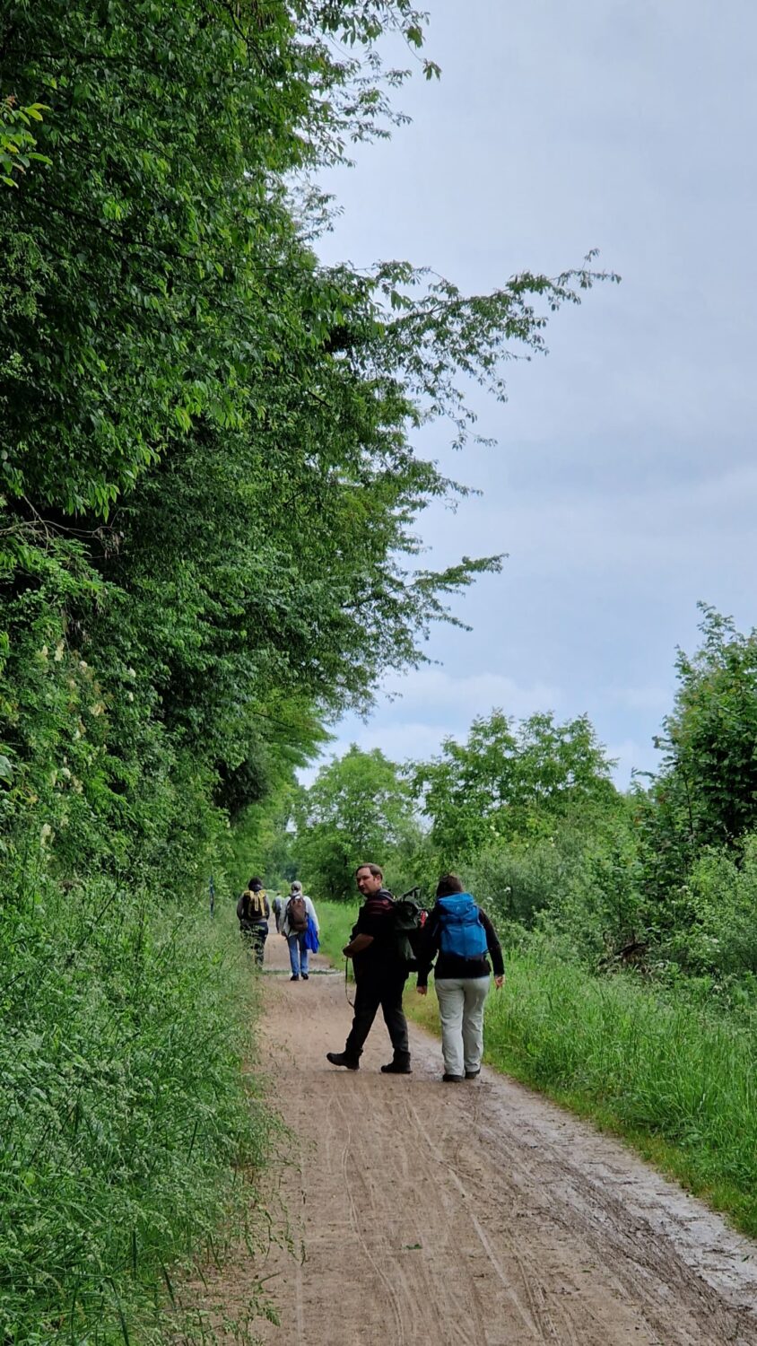 Tageswanderung Petite Camargue, 1. Juni 2024 © Nathalie Zumsteg