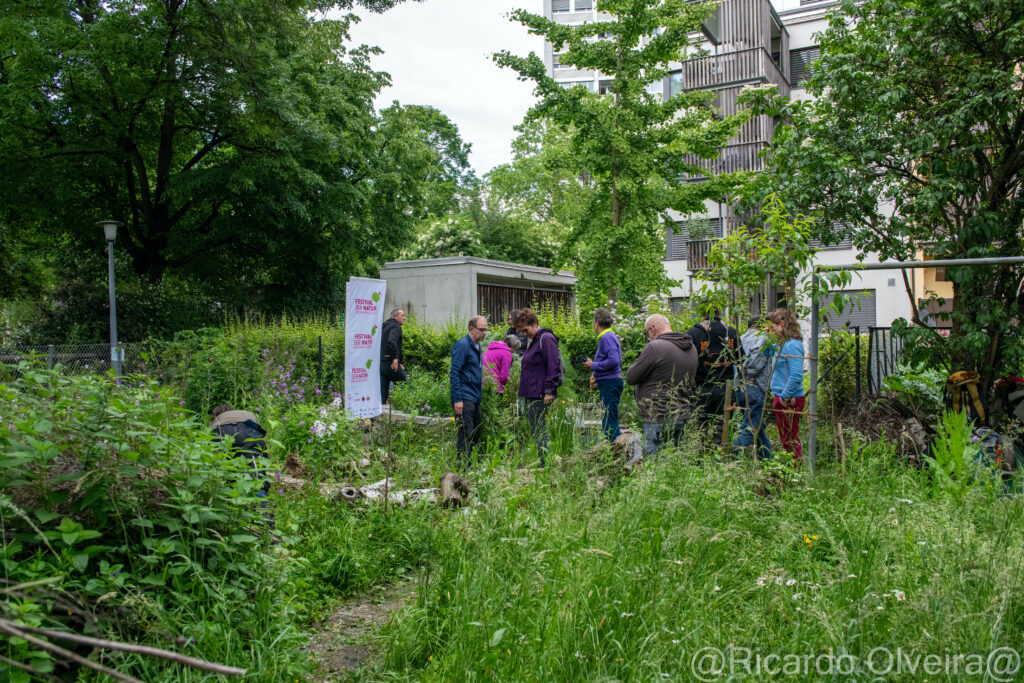 Festival der Natur im Naturgarten Birsköpfli, 2024