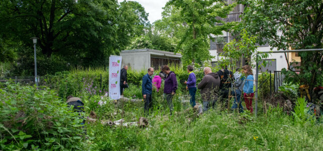 Festival der Natur im Naturgarten Birsköpfli, 2024