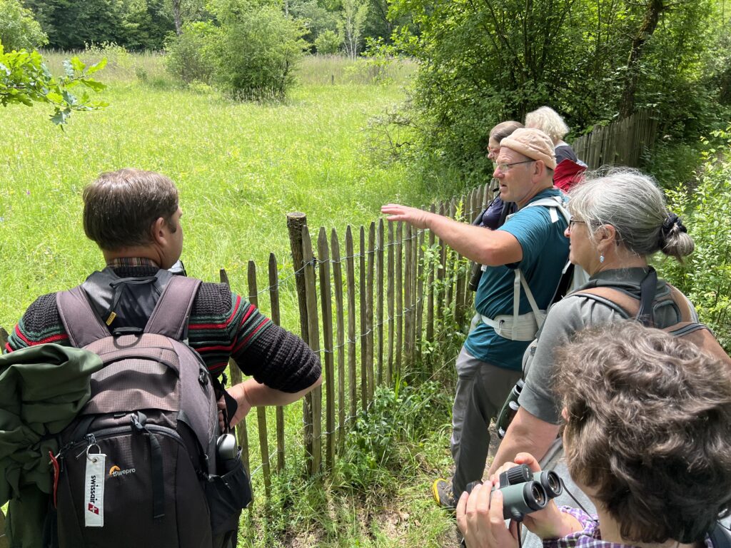 Tageswanderung Petite Camargue, 1. Juni 2024 © NVVB