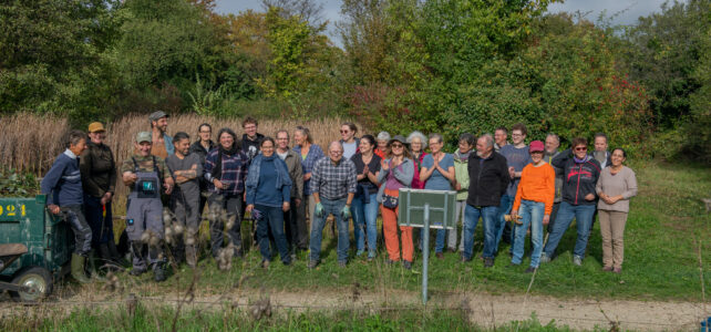 30. BL-Naturschutztag - Biotop Am Stausee, 26. Okt.2024 © Ricardo Olveira