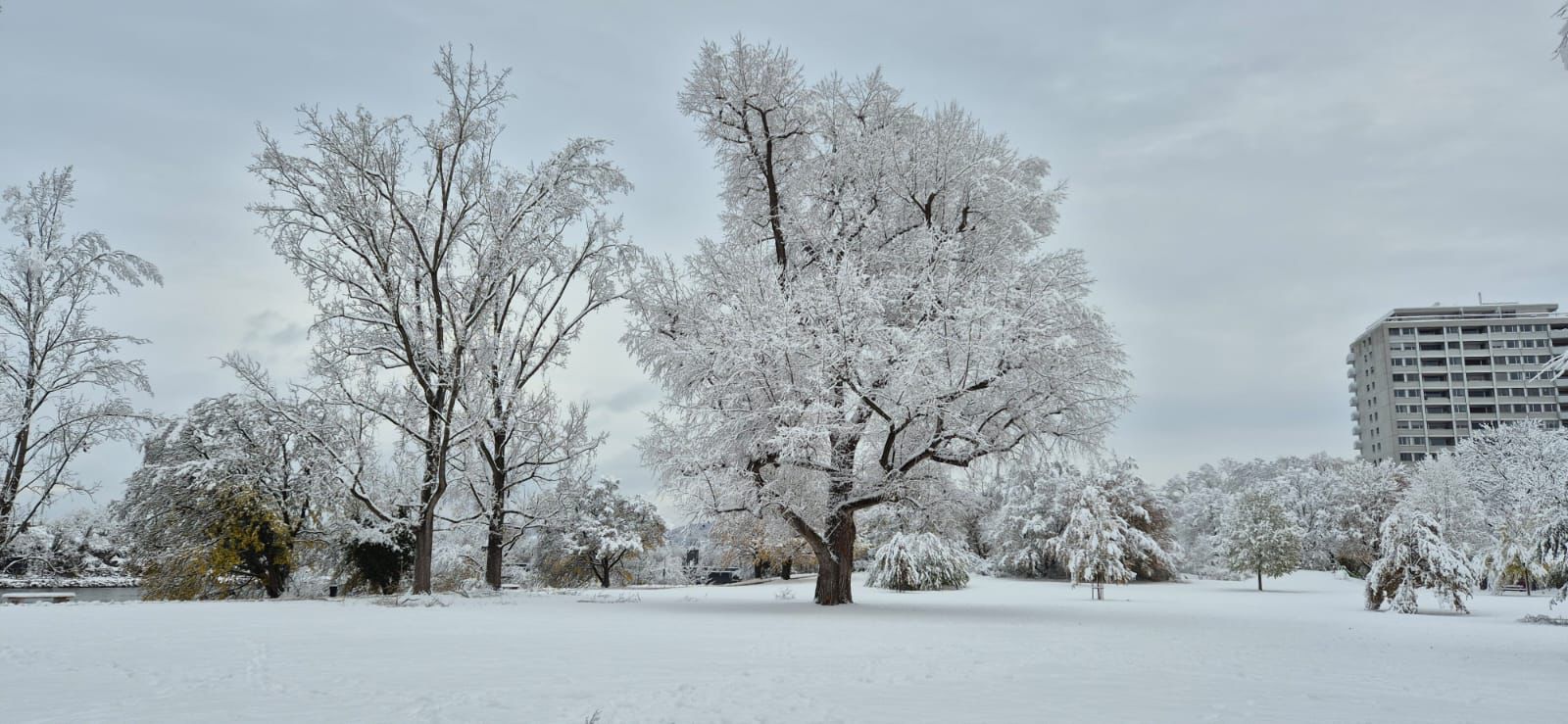 WINTERPAUSE…