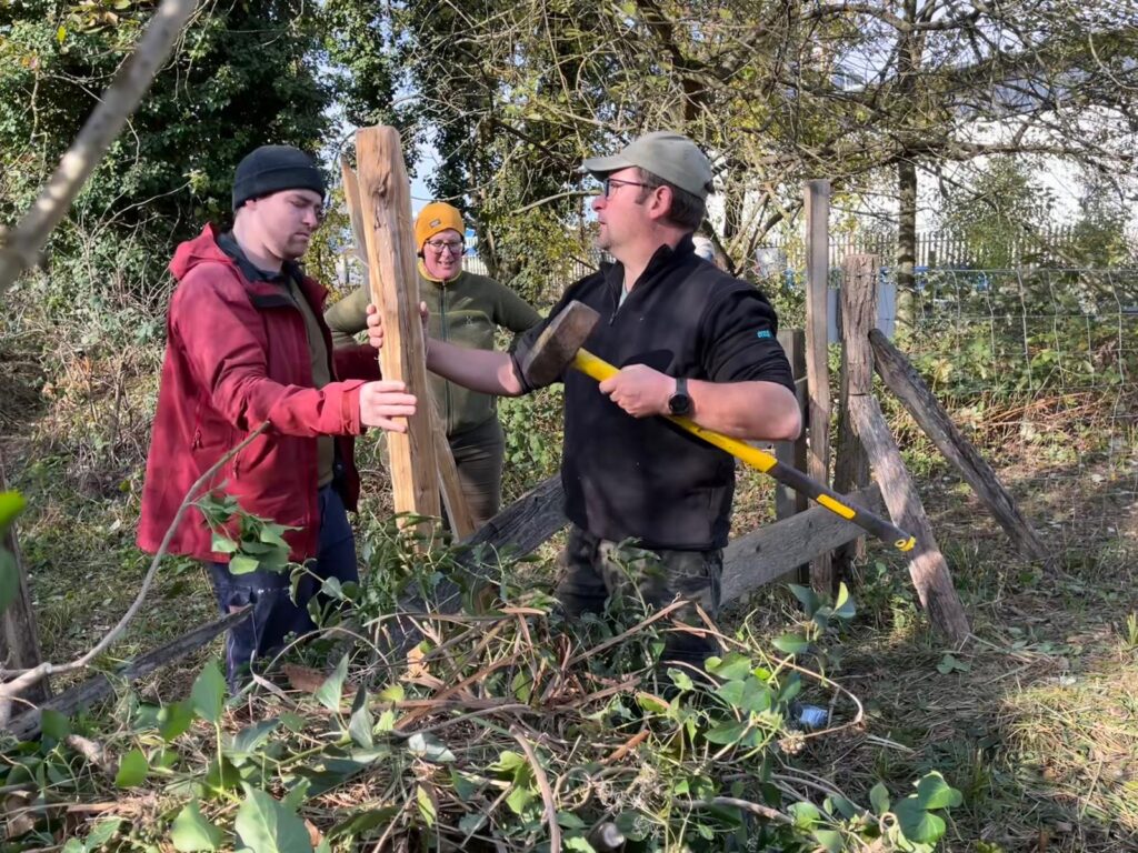 Pflegeeinsatz - Weiheranlage Hard, 09.Nov.2024 (© NVVB)