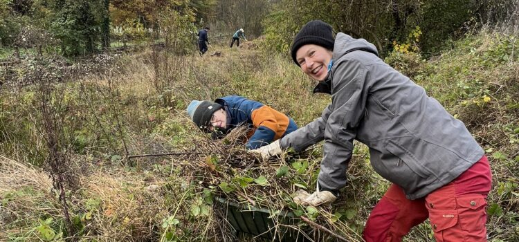 Weiheranlage Hard: Pflegeeinsatz, 9. November 2024