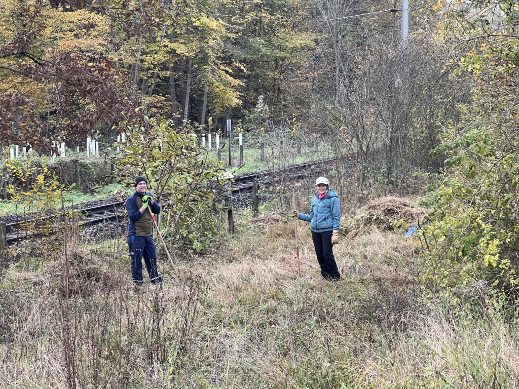 Pflegeeinsatz - Weiheranlage Hard, 09.Nov.2024 (© NVVB)