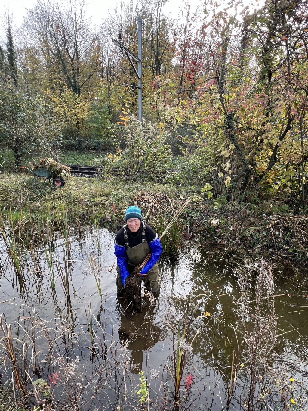 Pflegeeinsatz - Weiheranlage Hard, 09.Nov.2024 (© NVVB)