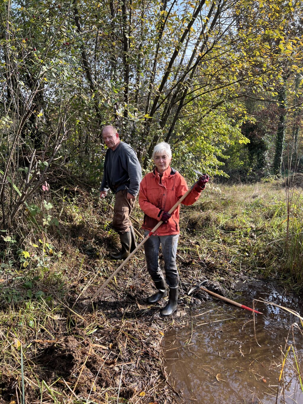 Pflegeeinsatz - Weiheranlage Hard, 09.Nov.2024 (© NVVB)