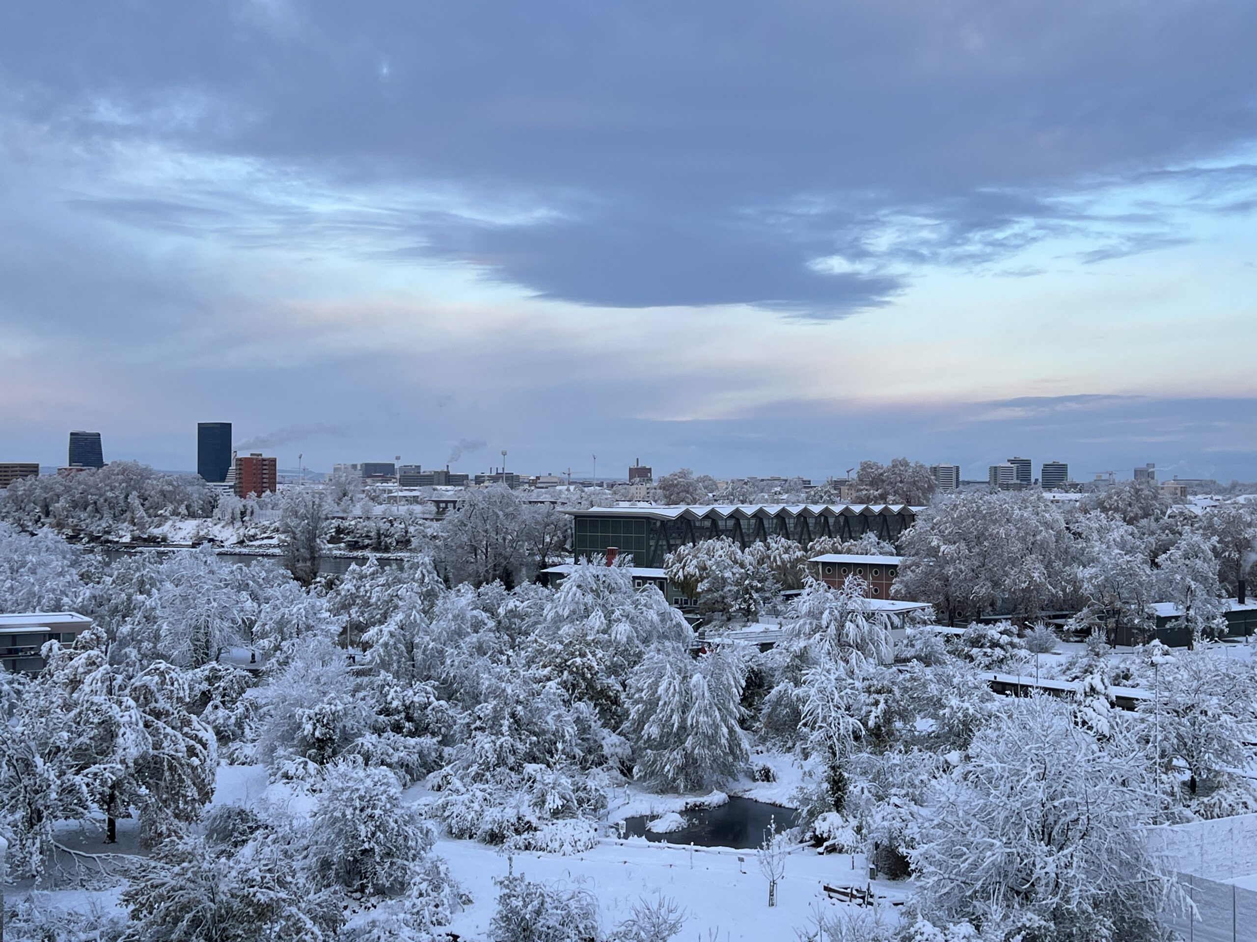 Schnee im Biotop Am Stausee, 22. Nov. 2024 © NVVB