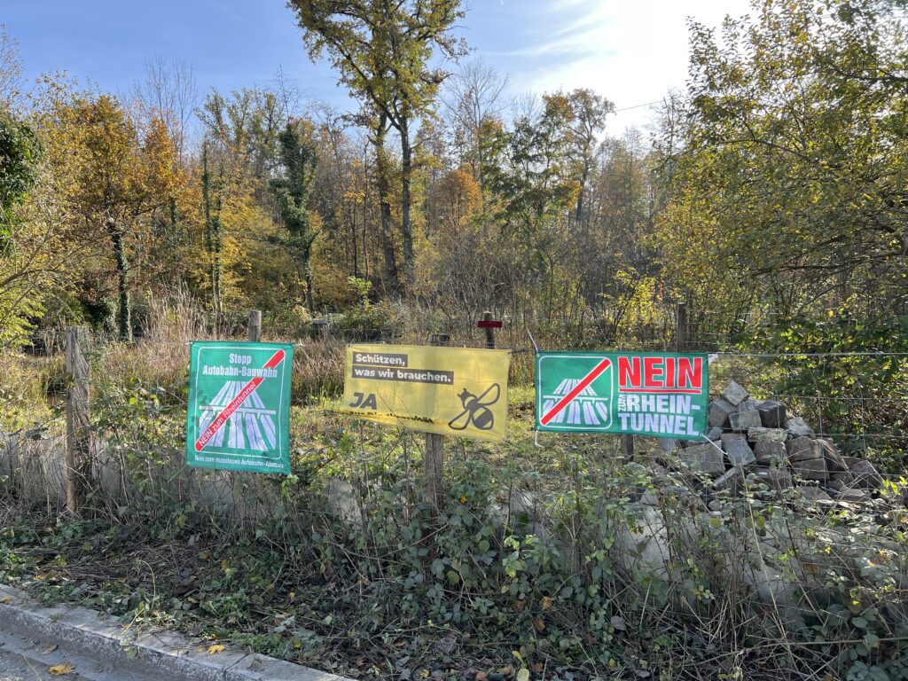 Pflegeeinsatz - Weiheranlage Hard, 09.Nov.2024 (© NVVB)