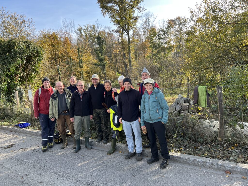 Pflegeeinsatz - Weiheranlage Hard, 09.Nov.2024 (© NVVB)